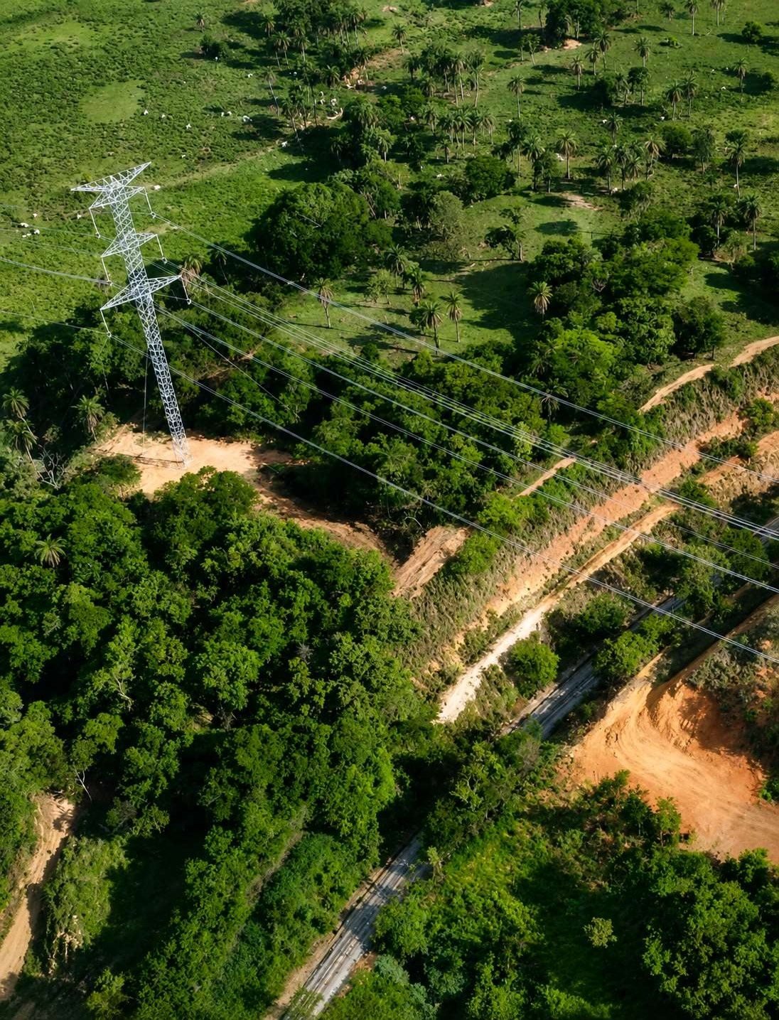 Vista aérea de torre de Linha de Transmissão em meio a pastagem verde, palmeiras e uma estrada de terra